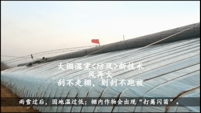 青島風全溫室配套有限公司